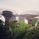 Фото Сингапура №10