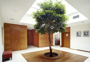 Фото Hotel Alwyn №