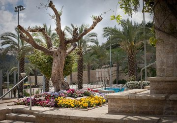 Фото Hotel Yehuda №