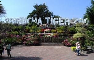 Тигровый зоопарк Сирача