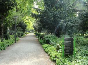 Старый ботанический сад в Мюнхене