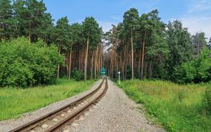 Заельцовский парк в Новосибирске