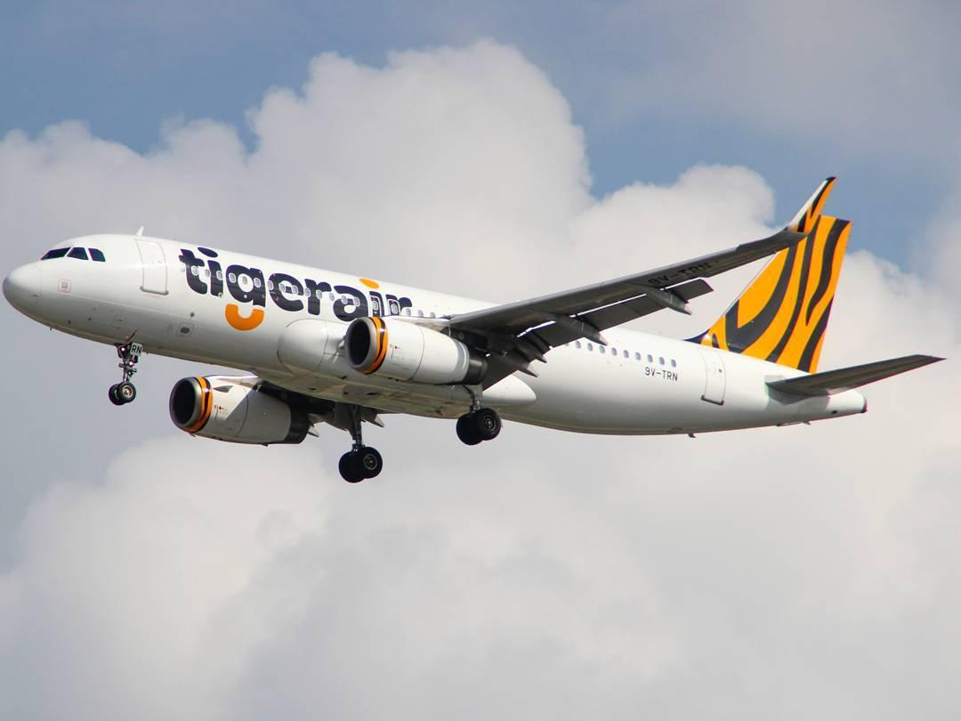 tiger airlines weakness Master dissertation of jinan university a study on low-cost leadership strategy: the case of airasia swot analysis can be carrier tiger airways. tiger airlines weakness Master dissertation of jinan university a study on low-cost leadership strategy: the case of airasia swot analysis can be carrier tiger airways.