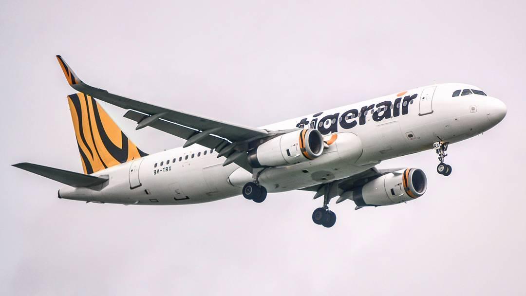 political factor in tiger airways In elections, even small issues can become a factor the first thing they will do is they will demand jobs from the political system. political factor in tiger airways In elections, even small issues can become a factor the first thing they will do is they will demand jobs from the political system.