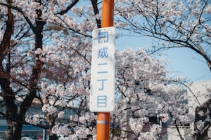 Фото Фукусимы №1