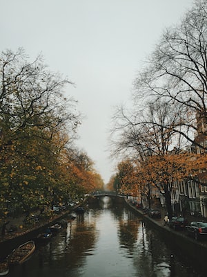 Фото Амстердама №2