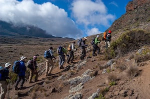 Фото Килиманджаро №3
