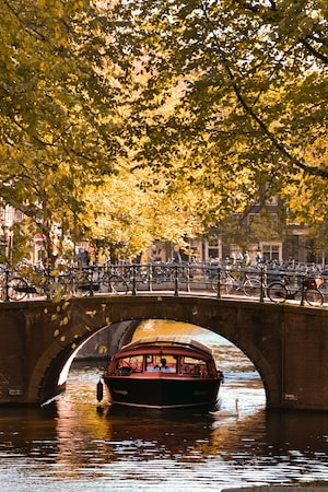 Фото Амстердама №9
