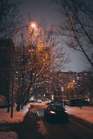Фото Москвы №1