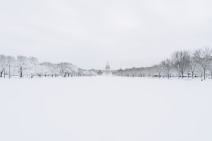 Фото Вашингтона №17