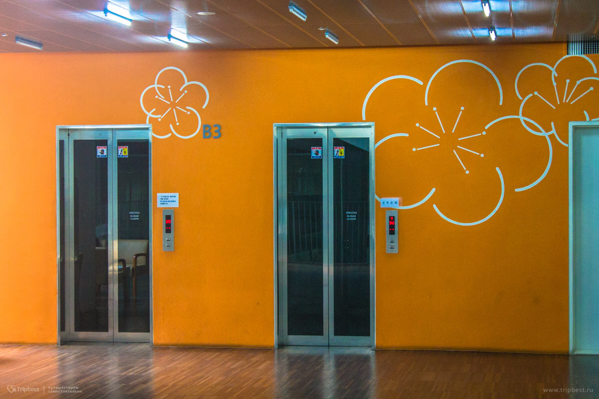 Лифт с цветочками в женском университете Ихва