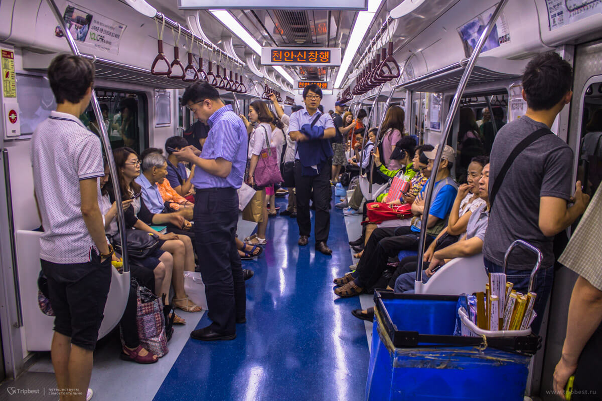 Внутри вагона метро Сеула, синяя ветка