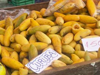 Куруба (Фрукт): «Банановая Гранадилла»