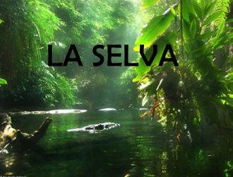 Перуанская Сельва: «Амазонская Равнина Перу»