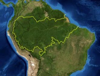 Сельва: «Экзотический Мир Амазонии»