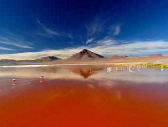 Лагуна-Колорадо: «Озеро 50-ти Оттенков Красного»