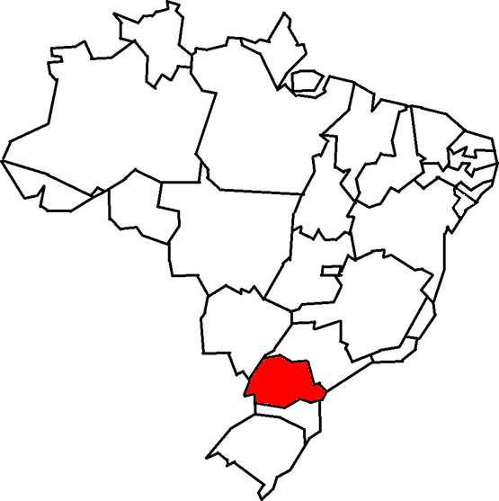 Штат Парана (Бразилия) 