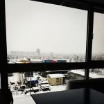 Фото Софии №33