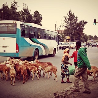 Фото Аддис-Абебы №6