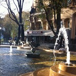 Фото Амстердама №45