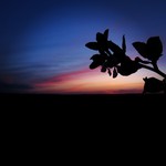 Фото Барселоны №21