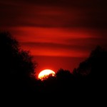 Фото Барселоны №9