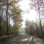 Фото Берлина №3