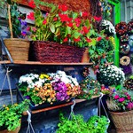 Фото Будапешта №8