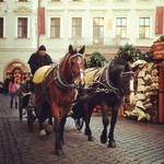 Фото Праги №10