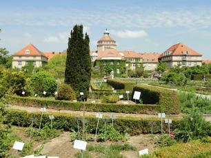 Ботанический сад в Мюнхене