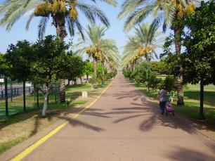 Парк Раанана в Тель-Авиве