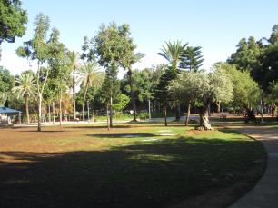 Сад Меира в Тель-Авиве