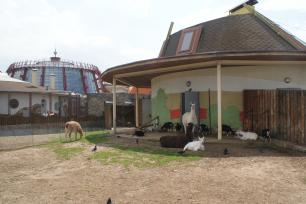 Минский зоопарк в Минске