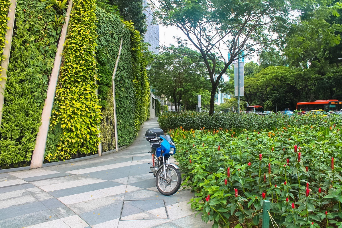 Озеление Сингапура, город-сад, фото №1